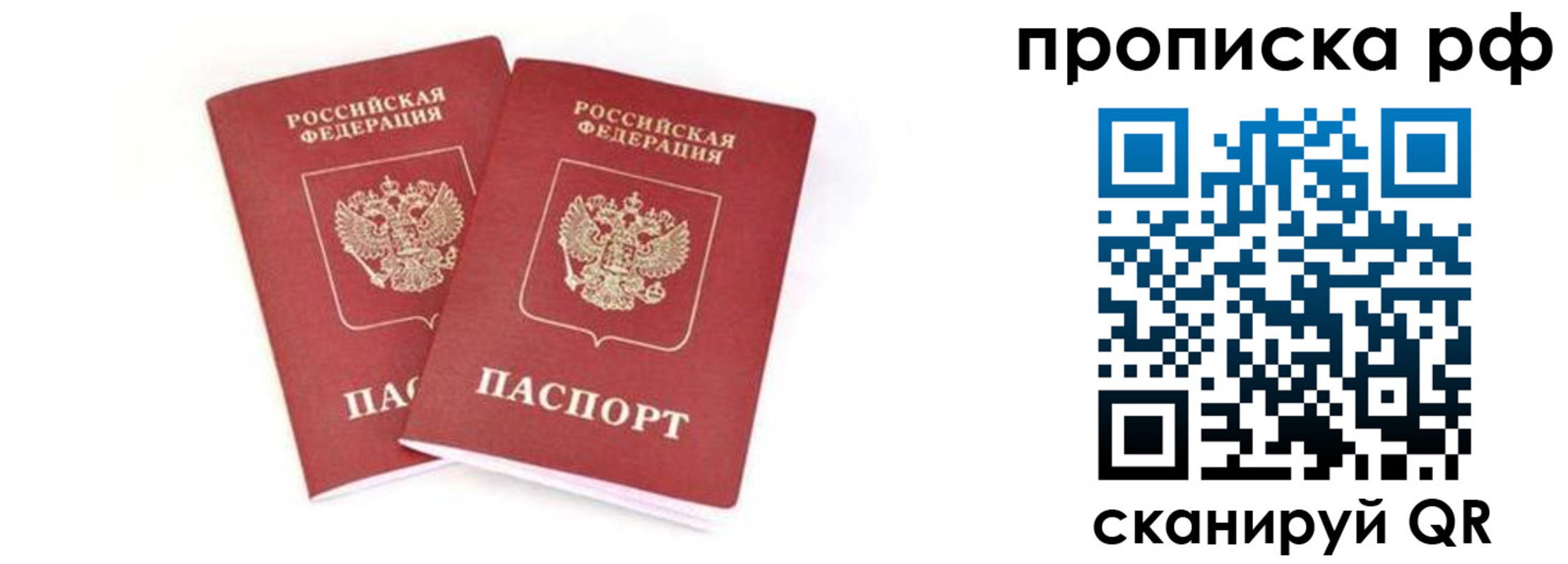 прописка поиск в Каменке